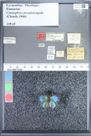 Media type: image;   Entomology 69182
